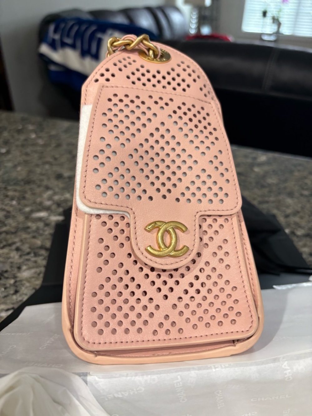 CHANEL Light Pink Perforated Leather 25 Mini Bag with Gold Hardware - Picture 3 of 11